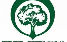 Tree City USA logo