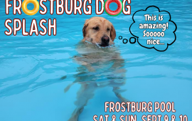 Dog Splash 2023