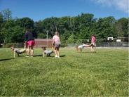 Day Camp 10