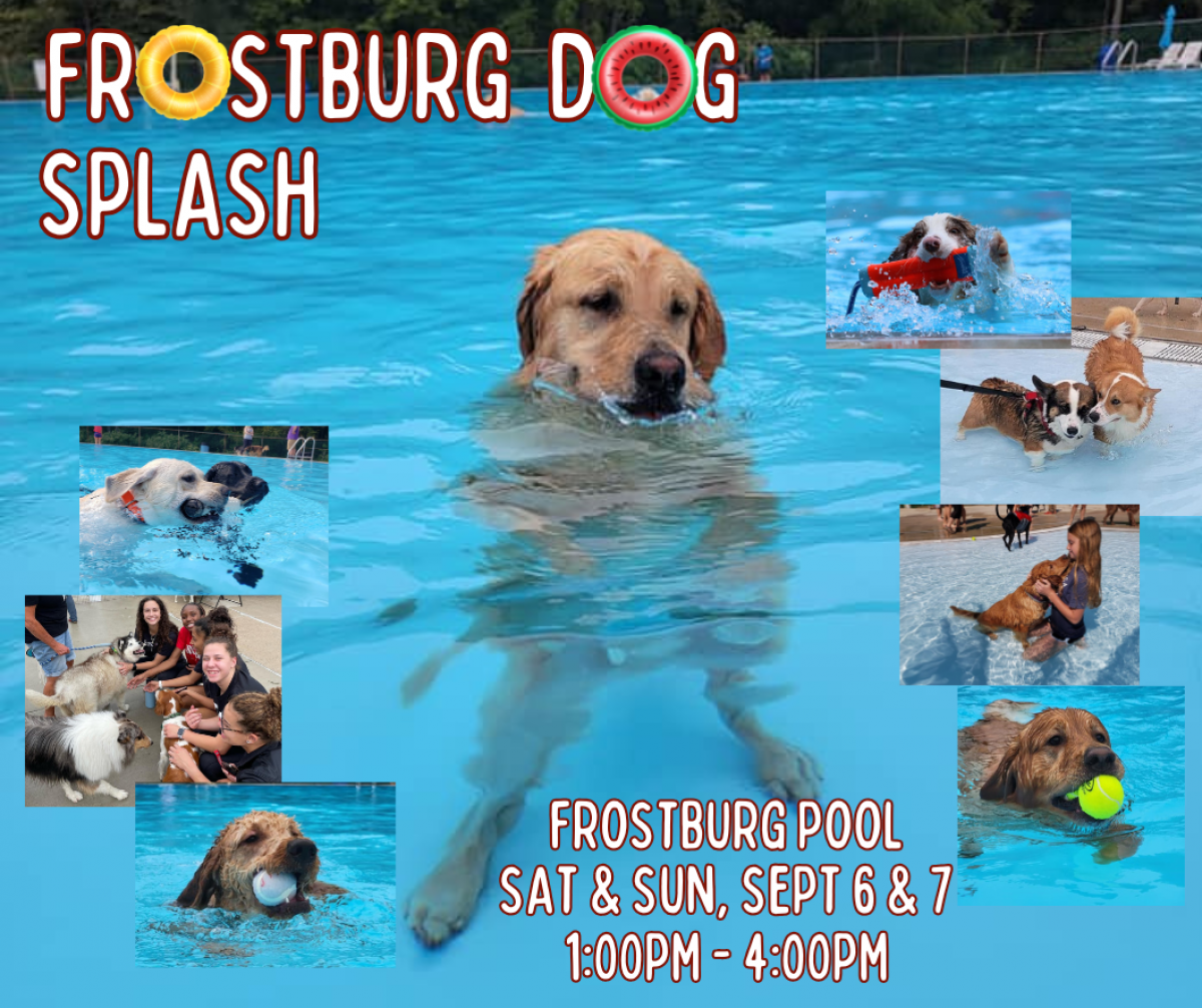 DogSplash2025